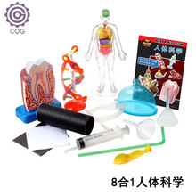 科技小制作 探索科学与创意的完美结合
