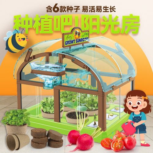 DIY阳光房科学实验玩具 打造孩子的迷你花园，探索植物生长的奥秘